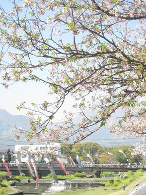 別府でのほほ～ん。