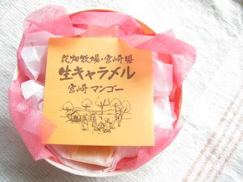 我が家にもやってきた！