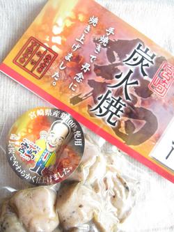 我が家にもやってきた！