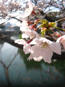 2011.4.1
