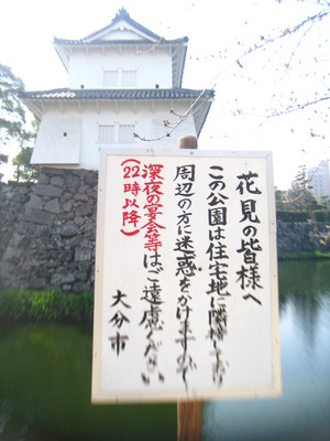今日のお花見