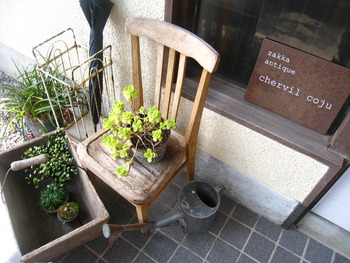 うっとりな時間