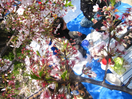 2011.4.1