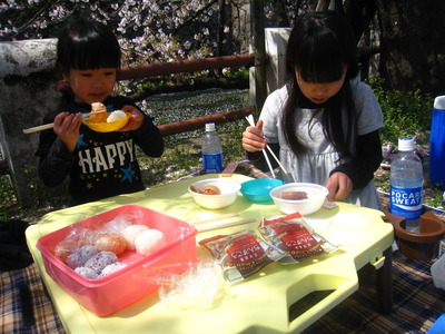 2010　お花見