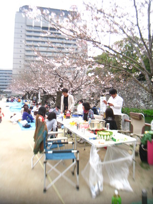 今年のお花見