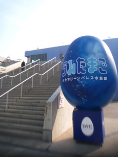 うみたまご