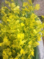 美容室の挿花　120612-120618