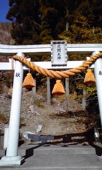 尺間山に登りました