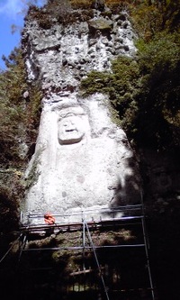 ひでぼん権現の道を行く
