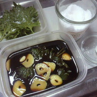 2012年02月02日