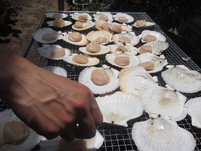 東北のめんどくさい男が中津に来た・・・。