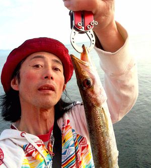 カマス回遊中!