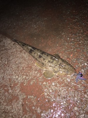 ボトムノックシーズン! ボトムノックシーズン!