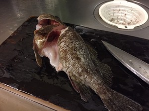 陸からBIGサイズ! 陸からBIGサイズ!