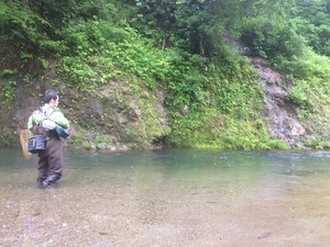 ブラウントラウトが出た! ブラウントラウトが出た!