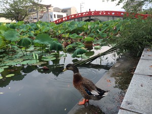 夏の恒例!人吉渓流遠征(1日目) 夏の恒例!人吉渓流遠征(1日目)