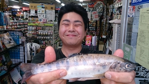楽しいぜ!ミノーイング 楽しいぜ!ミノーイング