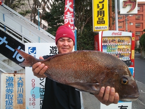 大型マダイの縁起物!