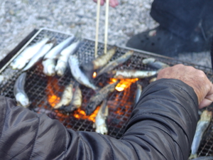 (動)2016ペアグレ釣り大会が開催されました! (動)2016ペアグレ釣り大会が開催されました!
