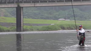 (動)番匠川 釣果続々! (動)番匠川 釣果続々!