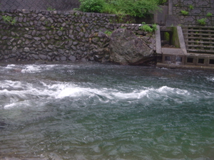 (動)番匠川 釣果続々! (動)番匠川 釣果続々!