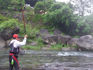 (動)番匠川 釣果続々! (動)番匠川 釣果続々!