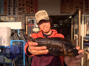 磯ヒラ好釣です♪ 磯ヒラ好釣です♪