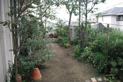 作業後 作業後