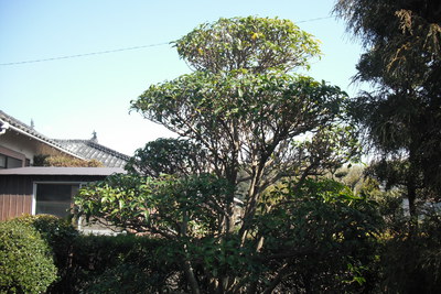 作業後 作業後