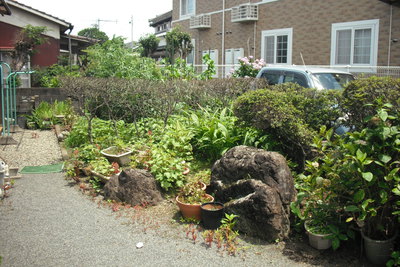 お庭作り 完成 お庭作り 完成