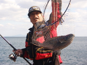 磯釣りに米水津へ行ってきました！