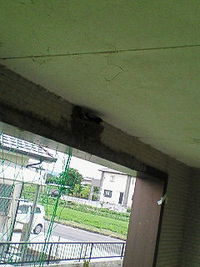 我家に新居が！