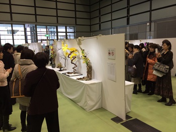NFDグランプリ2014in東京