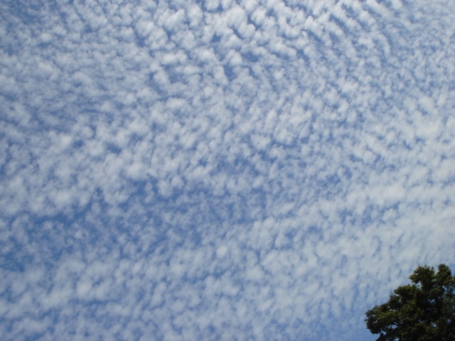 うろこ雲
