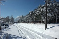 フォトコン　風景の部
