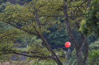 2009年09月11日