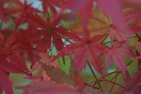 2009年11月13日