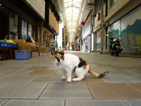 2009年10月12日