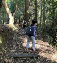 山登り