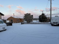 雪化粧