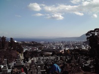 お年始とお墓参り