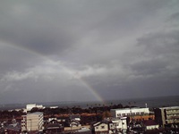 Have you ever seen the rainbow?