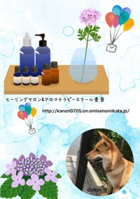 アロマテラピー検定対応コース受講生募集〔9月上旬まで受付〕