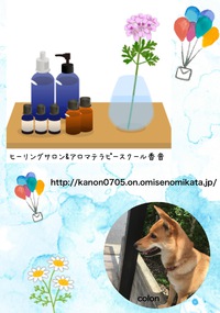 無料アロマテラピー体験実施中♪