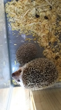 春ですねぇ～(＾◇＾)