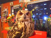 猛禽・爬虫類・特殊動物カフェ イベント情報☆