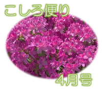 こしろ頼り4月号(119号)