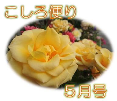 こしろ便り