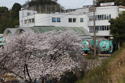 「桜」とハイレゾ音源！？☆