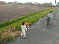 2013年　5月　近所のおさんぽ。 2013/06/01 16:03:00